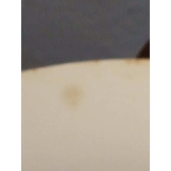 Spring Song Salem Harmony House Vintage 50's Plate Floral Iris - Picture 4 of 7